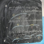 Opleiding3